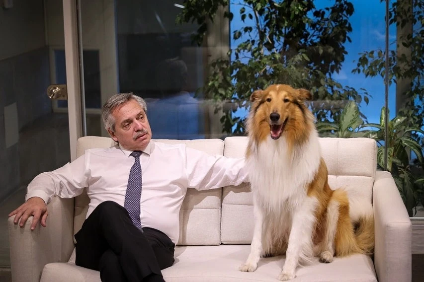 POLÍTICO. Alberto Fernández y Dylan.