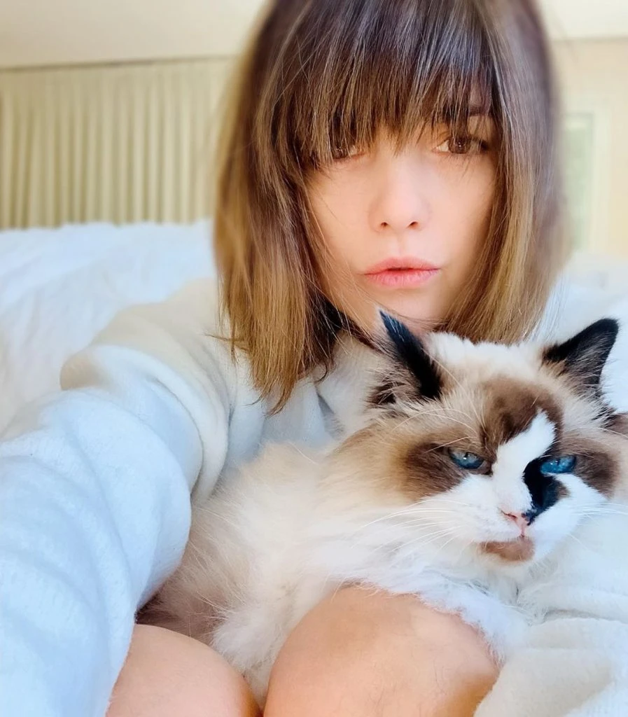 STAY HOME. Araceli con su ragdoll...