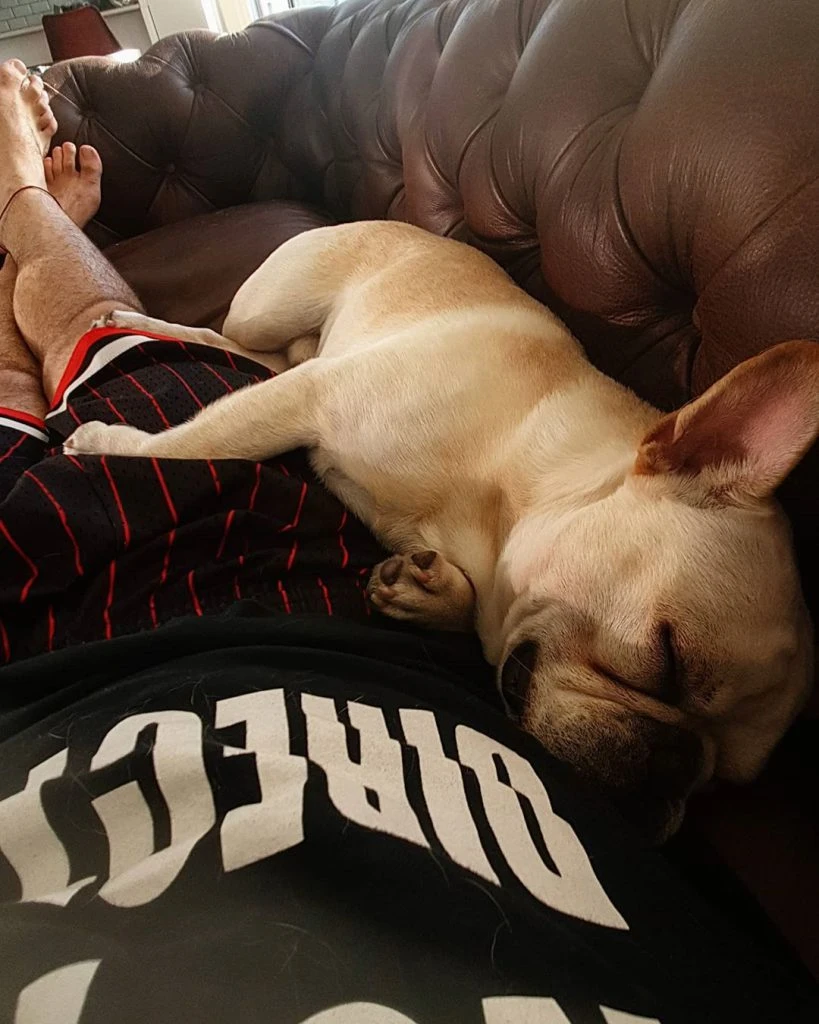 RELAX. Diego Leuco encontró la excusa perfecta para subir una foto con Simba.