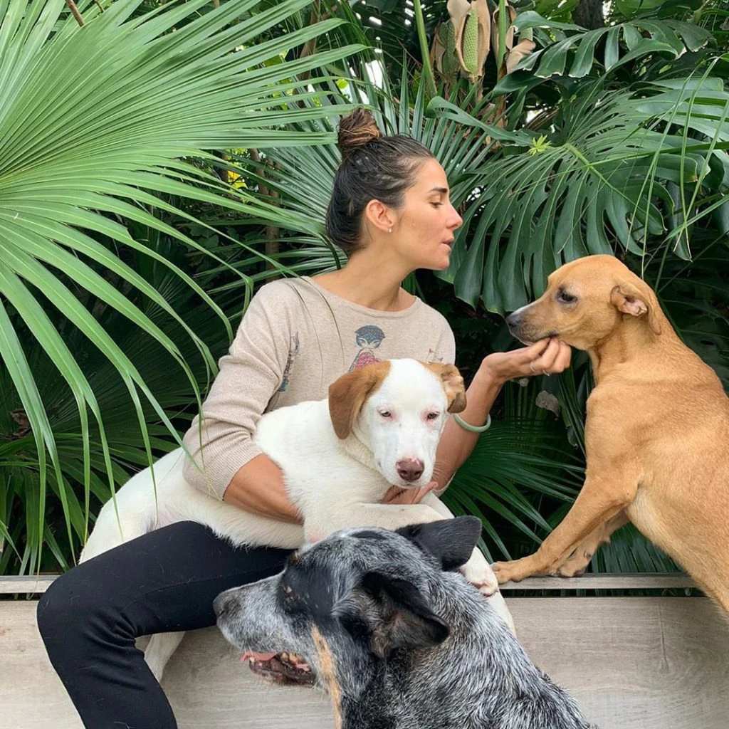 RECIÉN ADOPTADAS. Hace unos días Juana Viale compartió con sus seguidores una alegría: dos perras de la calle llegaron a su casa.