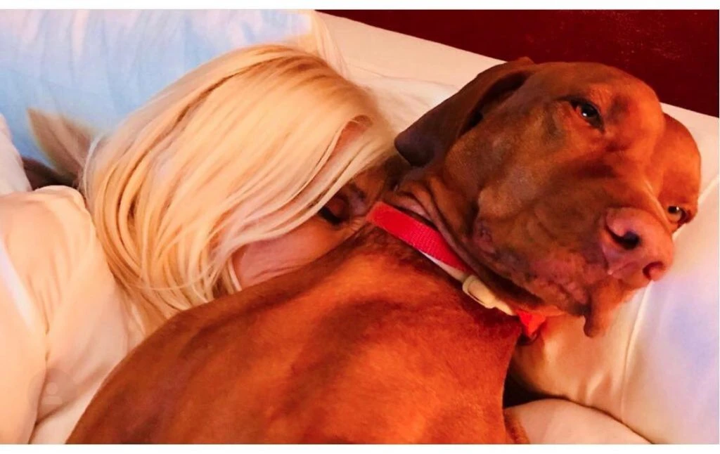 ÚNICOS. Susana y kiko.