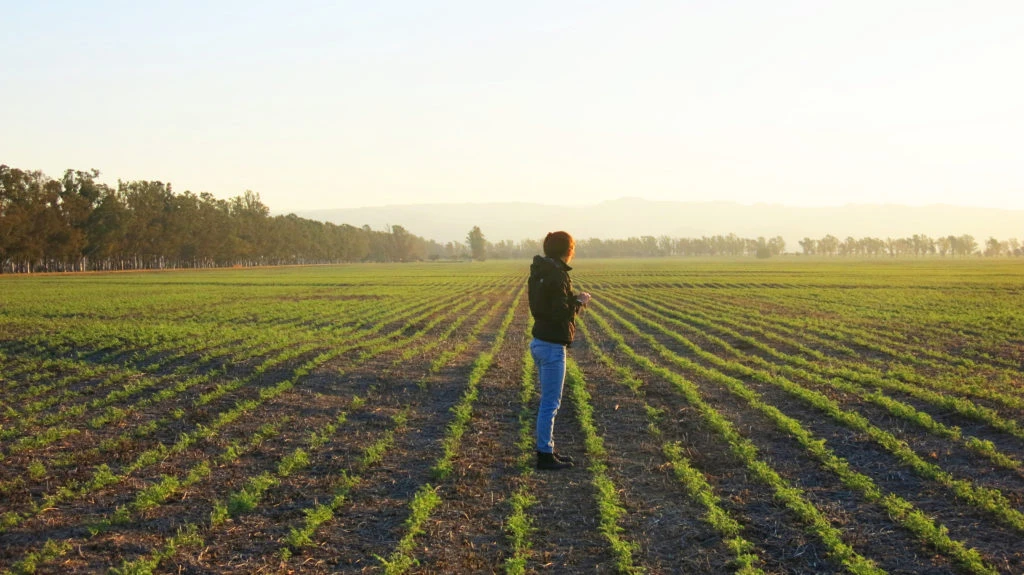 Monitoreo de cultivo de garbanzos en Córdoba, empresa familiar Tecnocampo, organización miembro de la Red Mujeres Rurales y regional de AAPRESID.
