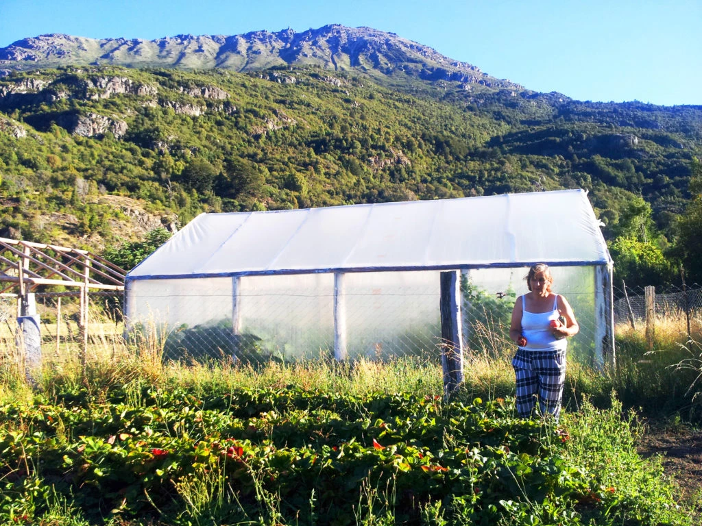 Mujer rural participante del programa Prohuerta de INTA,en su invernadero del Paraje el Manso, Bariloche.