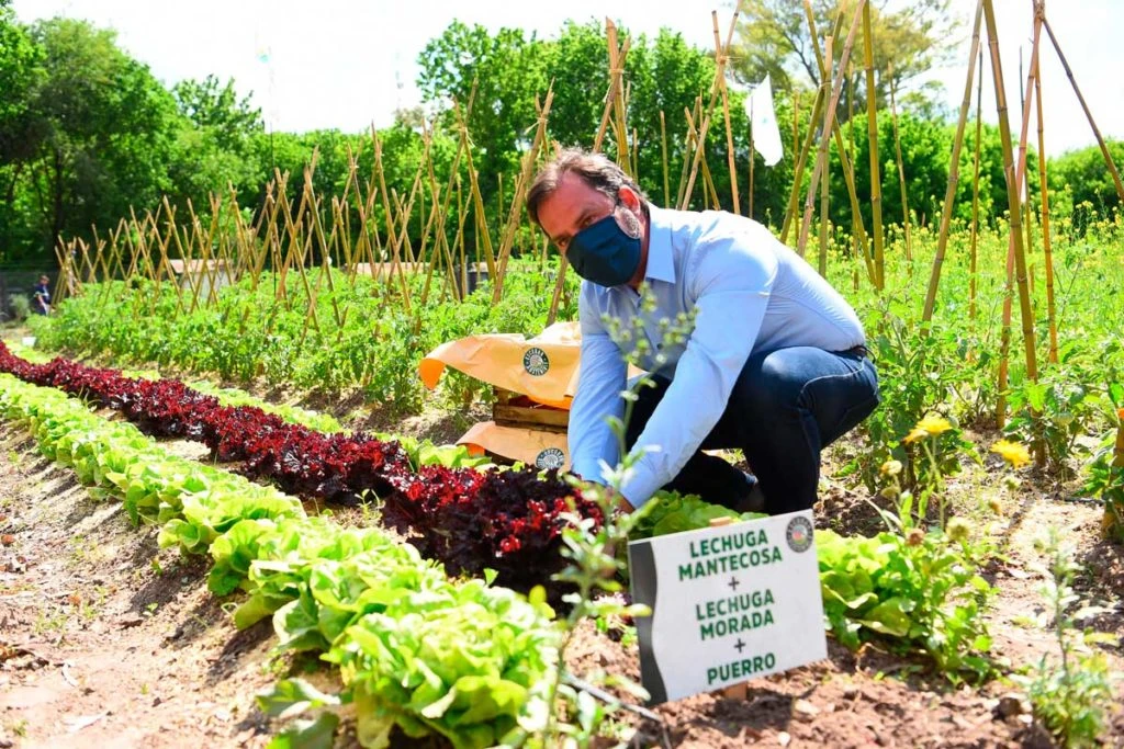 Ariel Sujarchuk en la primera Huerta Agroecológica Municipal.