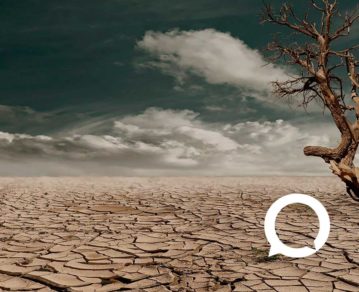 Día Mundial de la Educación Ambiental: qué desafíos representa y cómo puede impulsarla en el país la Ley Yolanda