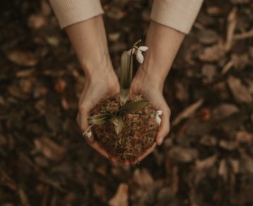 Jóvenes por el futuro: así es la convocatoria que busca iniciativas para alimentar el planeta