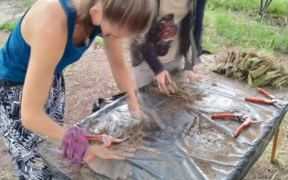 La imagen tiene un atributo ALT vacío; su nombre de archivo es Sumá-Nativas-1-edited.jpeg