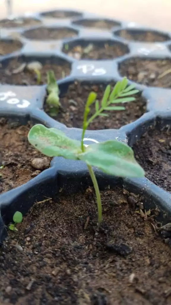 La imagen tiene un atributo ALT vacío; su nombre de archivo es WhatsApp-Image-2021-03-31-at-17.40.42-576x1024.jpeg