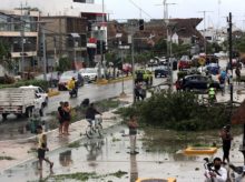 Vista de árboles caídos durante el paso del huracán Grace, en el centro del municipio de Tulum, estado de Quintana Roo (México). EFE/ Alonso Cupul/Archivo