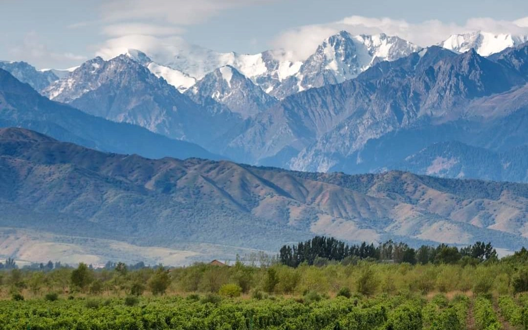 La imagen tiene un atributo ALT vacío; su nombre de archivo es Marca-País-1-edited.jpeg