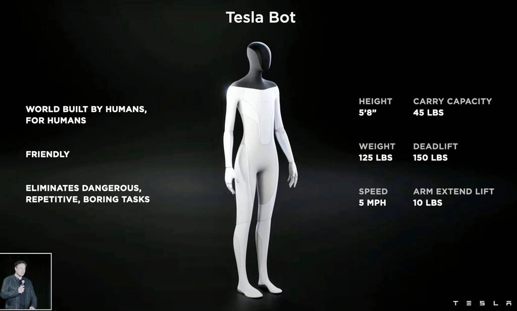 Tesla Bot