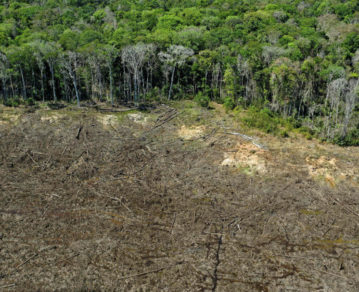 Calentamiento global: por qué el Amazonas de Brasil podría convertirse en un desierto