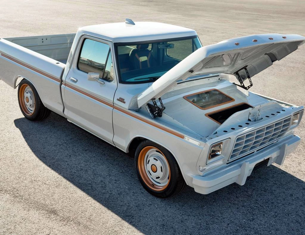 Ford F-100 Eluminator