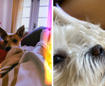 ¡Te vas a morir de amor! Así fue el reencuentro de Vero Lozano con sus perros cuando volvió de Aspen