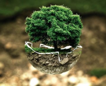 Día de la Tierra: por qué se celebra el 22 de abril en todo el mundo