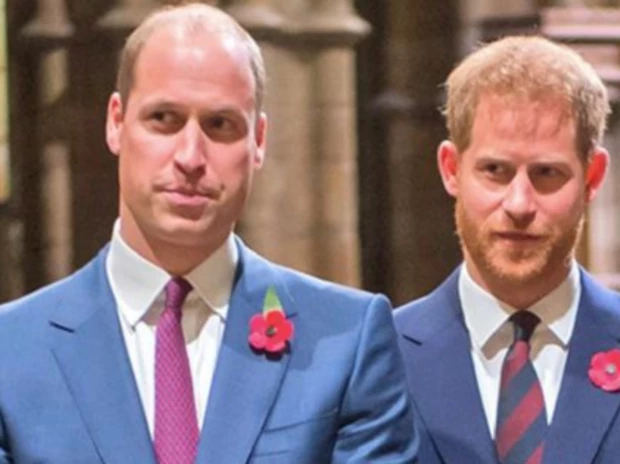 La tremenda declaración del Príncipe Harry: "Mi familia miente para proteger a mi hermano"