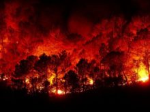 Grandes incendios en Tierra del Fuego.