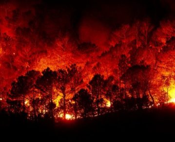 Preocupan los grandes incendios forestales en una reserva natural de Tierra del Fuego