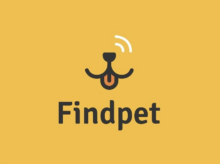 Findpet, la primera app gratuita para encontrar mascotas extraviadas: cómo funciona