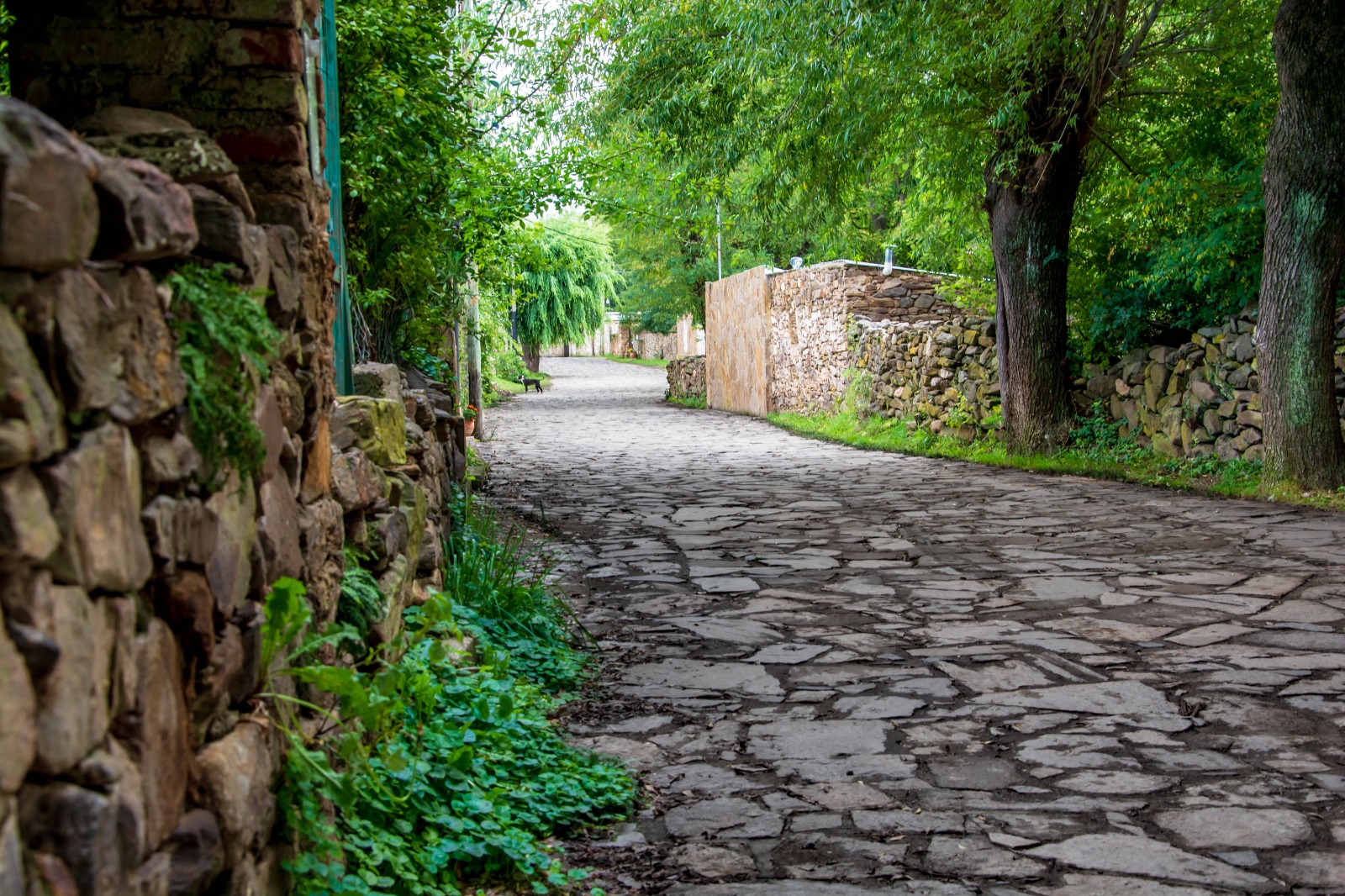 Villas turísticas: La Carolina, el pueblo de San Luis que puede ser elegido como el más lindo del mundo – GENTE Online