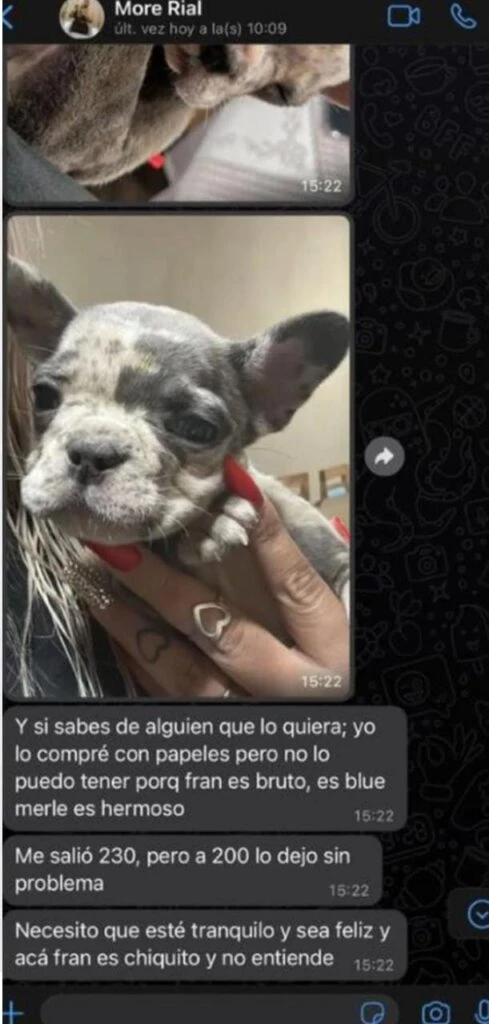 Los presuntos mensajes de Morena Rial.