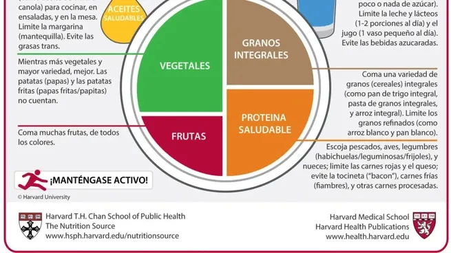 Recomendaciones de la universidad de Harvard. Foto archivo. 