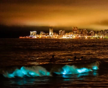 Verónica Macías reiteró su denuncia contra Cacho Garay