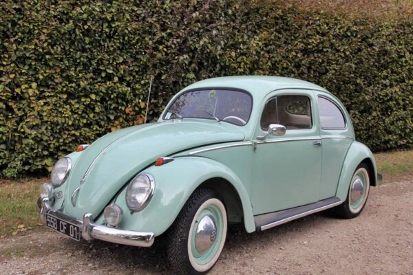 VW Beetle