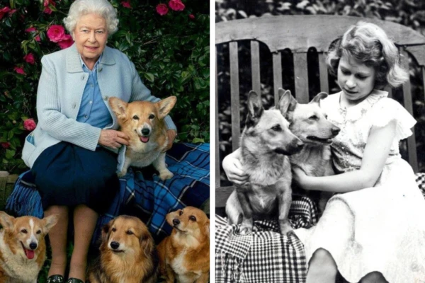 Isabel II y el especial amor que sentía por sus perros corgi