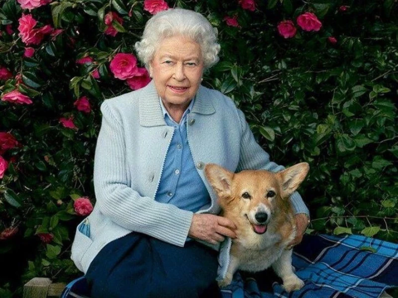 Isabel II y su amor por sus corgis