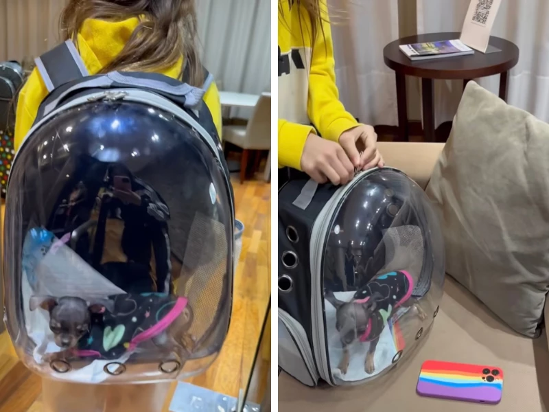 Mochila astronauta para viajar con mascotas