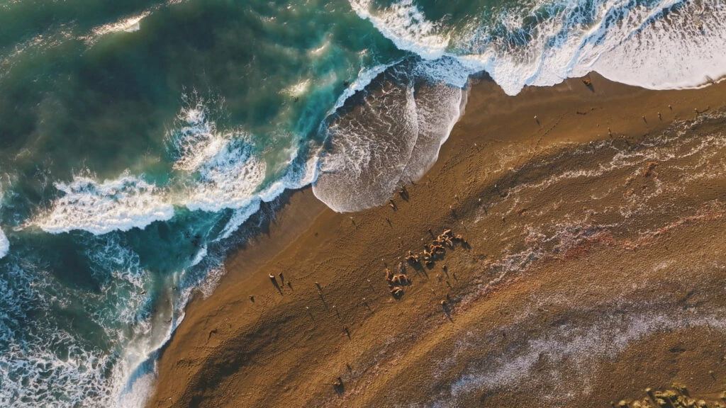 Así se ven las playas de Argentina.