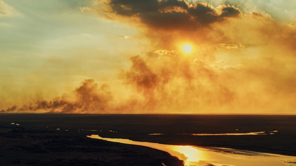 Llega a distintos lugares de nuestro país.