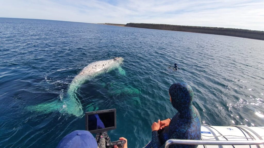 Así fue la grabación del documental.