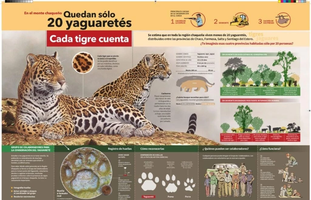 La esperanza aumenta con cada ejemplar. 