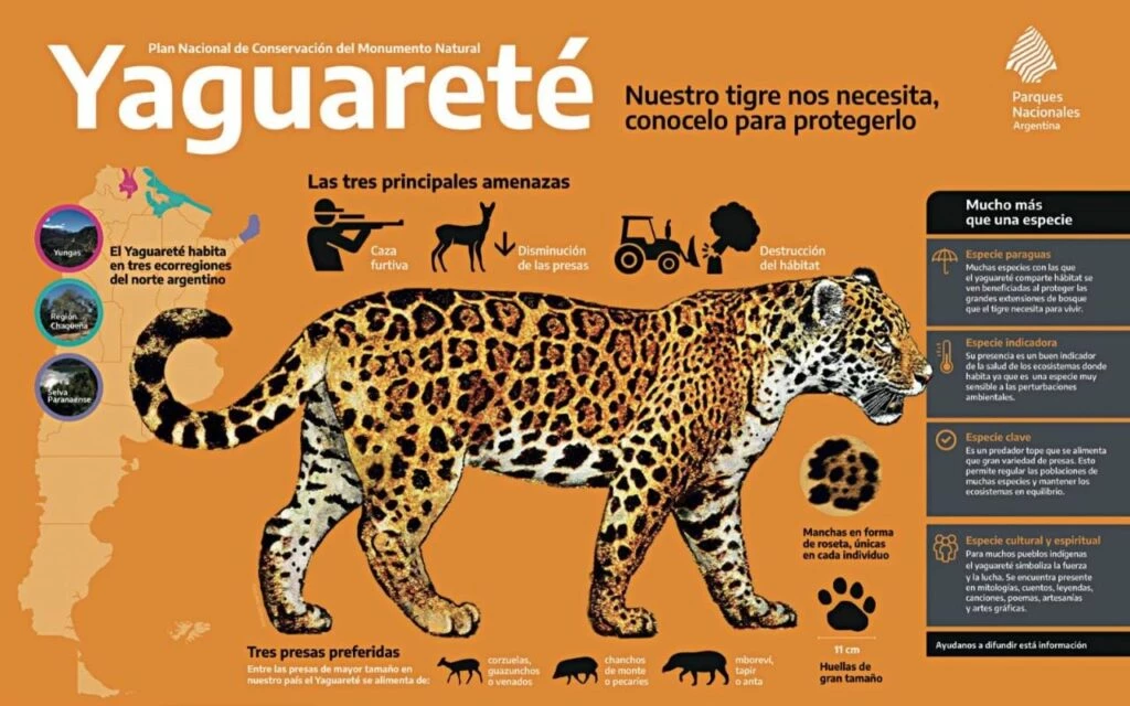 Ya son 16 los ejemplares  que habitan en Corrientes