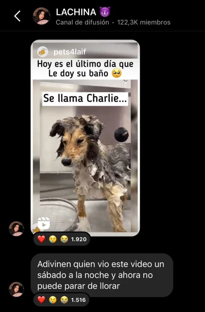 La China Suárez conmovida por la muerte de Charlie.