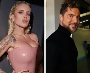 flor peña david bisbal