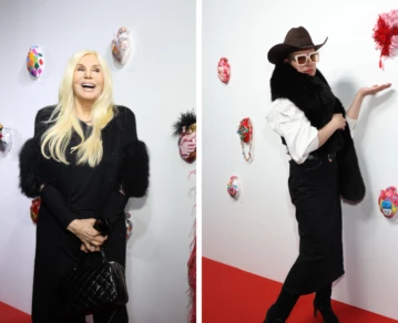 susana gimenez santiago artemis