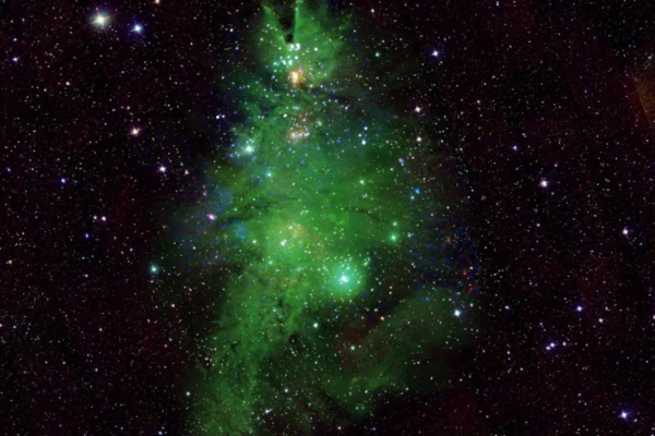 El árbol de Navidad cósmico que descubrió la NASA