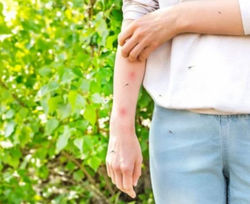 invasión de mosquitos amba