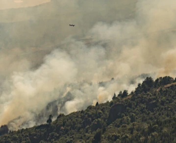 Incendio en el Parque Nacional Los Alerces