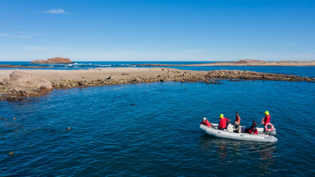 Avistaje de fauna en Patagonia Azul