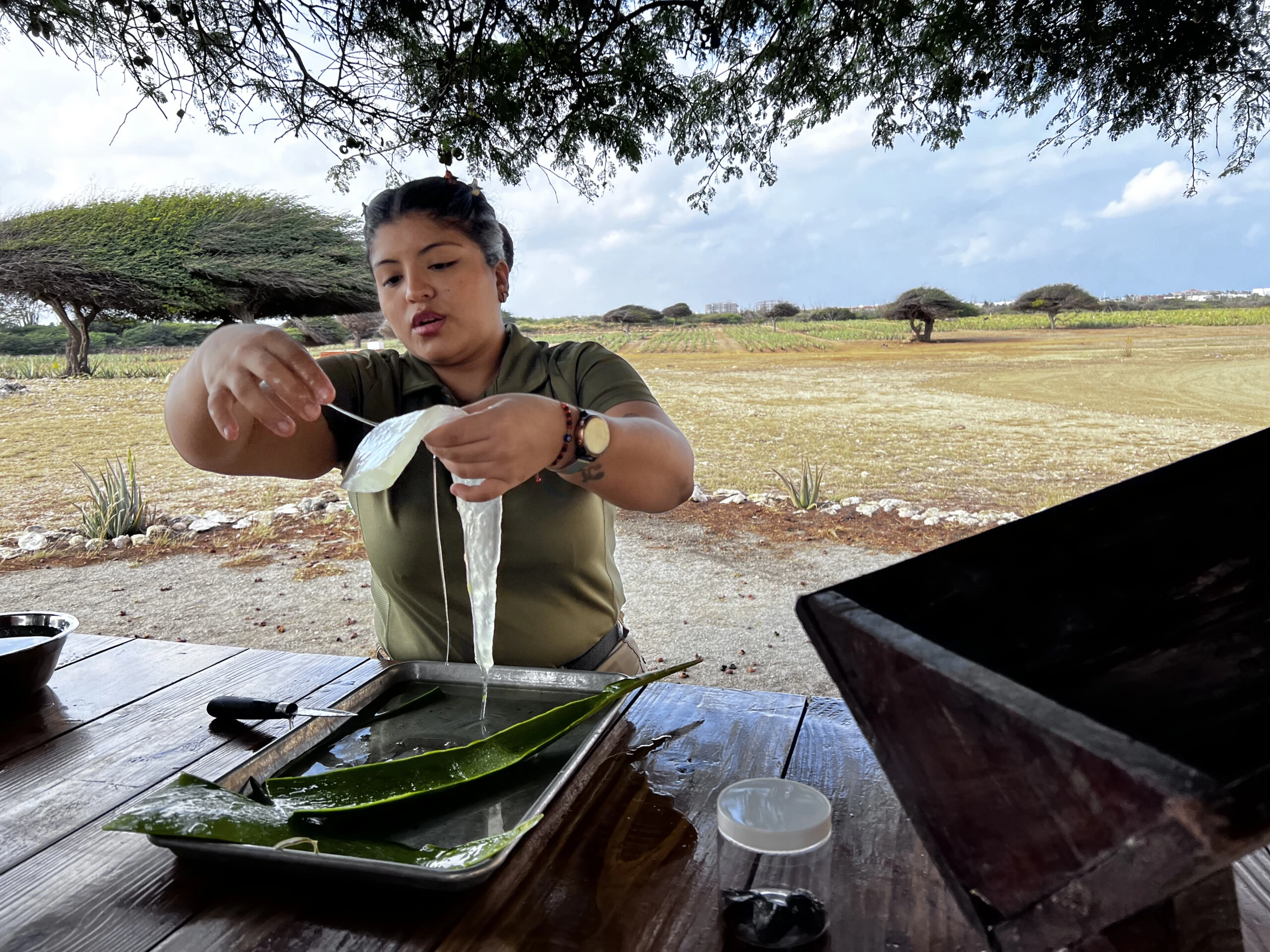 Linda Nieves muestra a GENTE el cristal de aloe, desde donde nacen todos los productos.