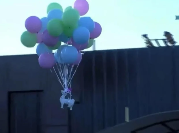 Cariño volvió a Gran Hermano con un ex participante que emocionó a Furia