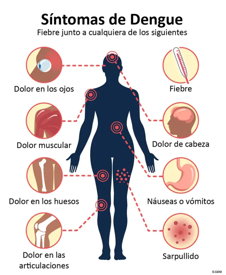 Argentina registró picos históricos de casos de dengue. 