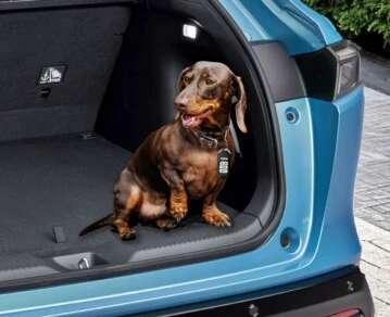 Honda PAW-S