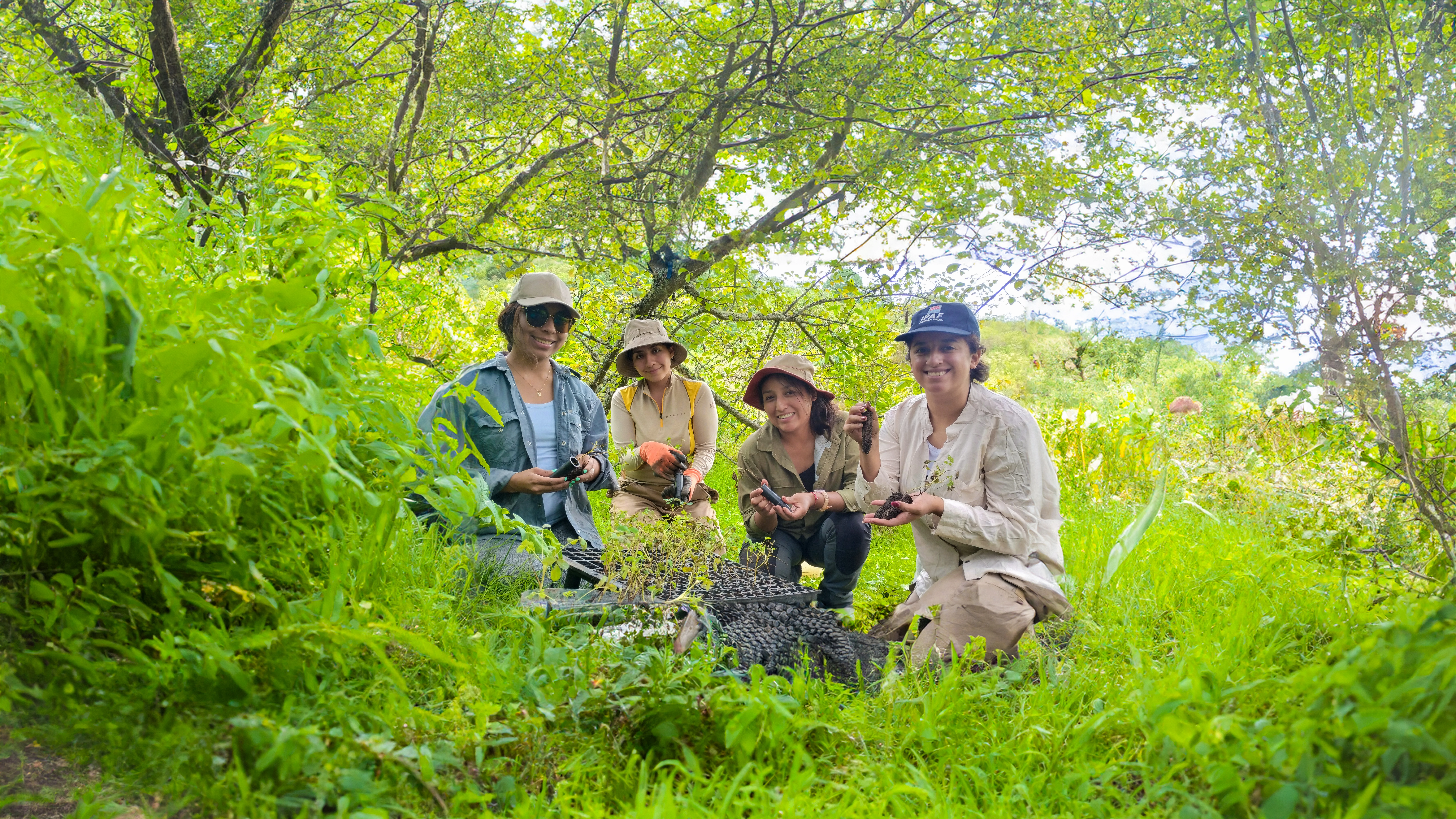 Plantación de Polylepis australis junto a pobladores de Yala, voluntarios y el equipo de Árbol y Vida.