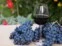5 mitos del vino que no van más