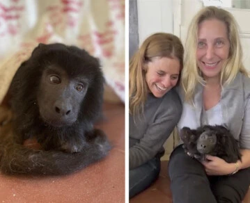 la emoción de Karina Milei al conocer a Coco, el mono carayá que conmovió al país